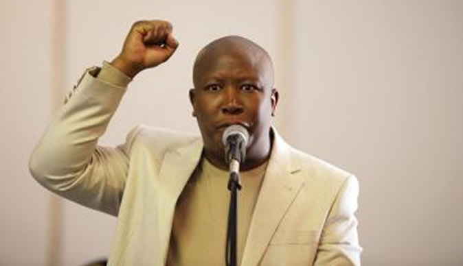 Julius Malema to form new political party