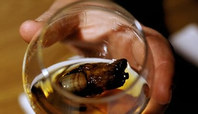 Man fined £300 for swallowing human toe in whisky cocktail