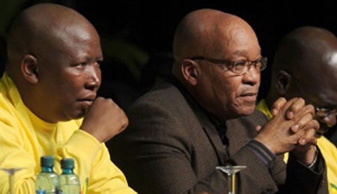 Malema apologizes to SA for Zuma 'mistake'