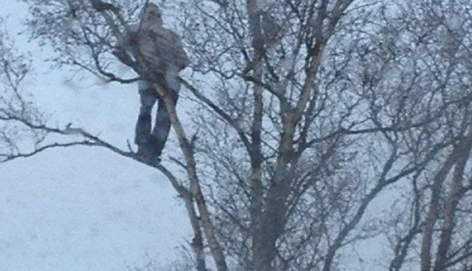 Man stays up tree for more than 12 hours in protest over deportation