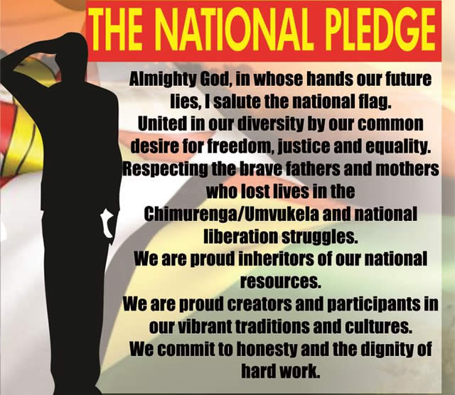 Did Dokora Consult 1 Million Parents On National Pledge?