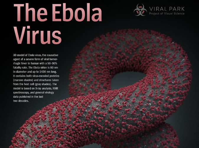 SA intensify Ebola screening