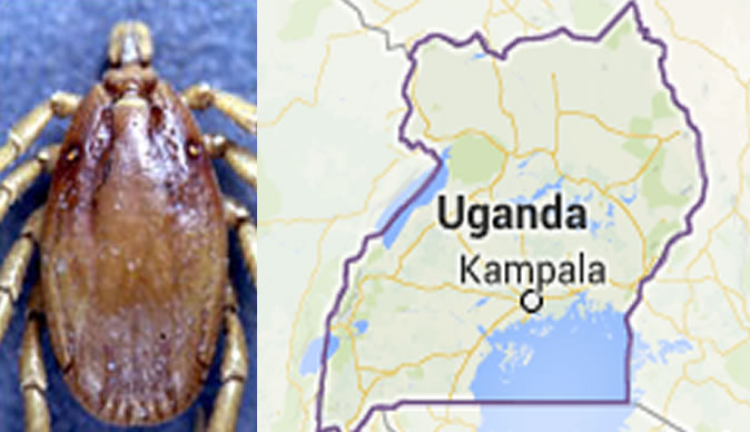 Ebola-like fever kills 3 in Uganda