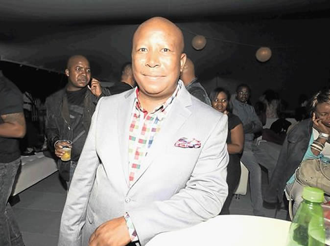 Malema hit by love bug