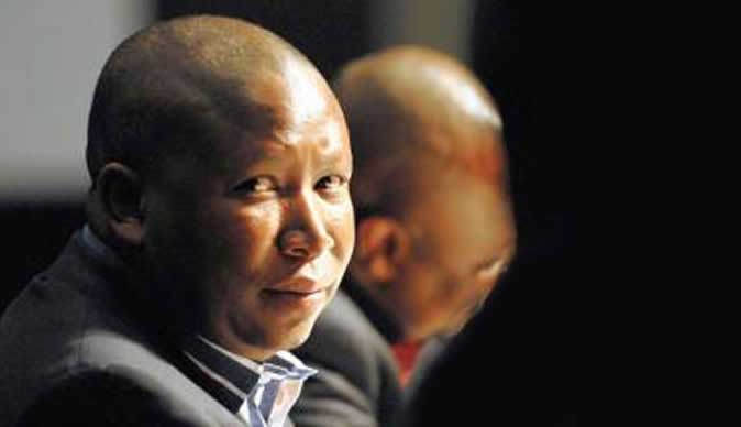 Julius Malema lawyer's house robbed