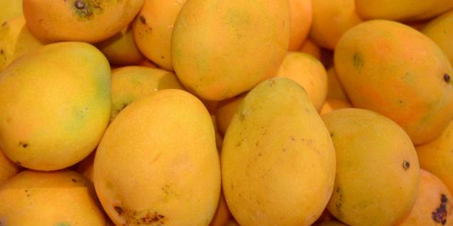 Raped woman bribed with mangoes not to tell hubby