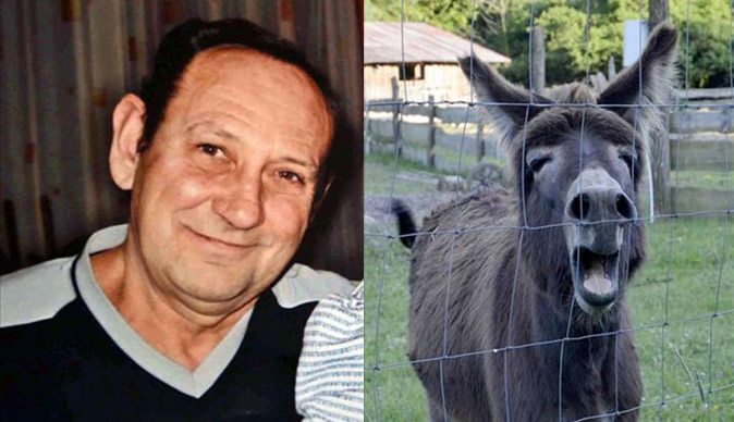 Donkeys bite pensioner to death