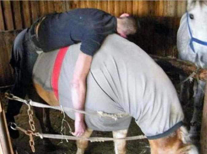 Drunk man falls asleep on top of a horse